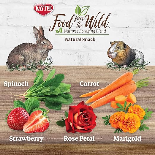 Kaytee Food From the Wild Natural Snack Mix for Small Pets Premium Dog & Cat Toys | WhatDaDog Pet Store