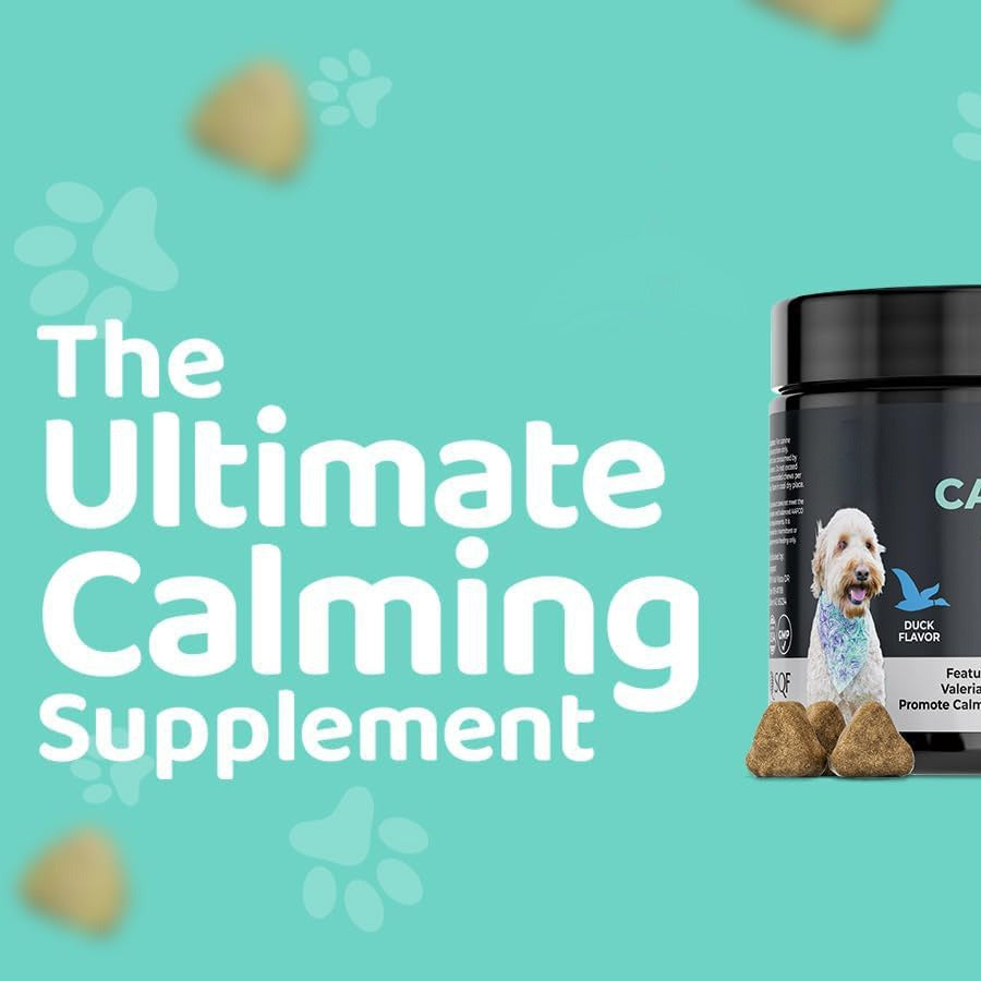 Calming Chews For Dogs Premium Dog & Cat Toys | WhatDaDog Pet Store