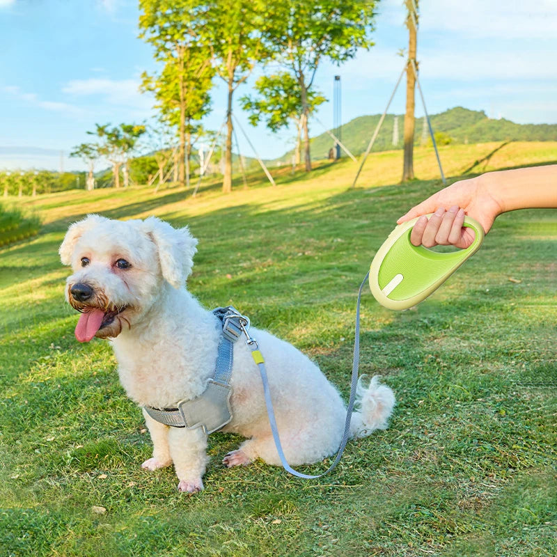 Retractable Dog Leash 11.5ft - Heavy Duty Pet Leash for Dogs up to 25lbs WhatDaDog Premium Pet Store | Quality Dog & Cat Accessories
