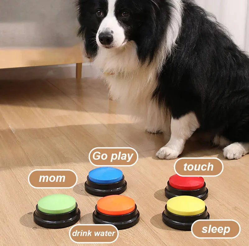 Interactive Dog Training Buttons - Voice Recording Communication Buzzers for Pet Training Premium Dog & Cat Toys | WhatDaDog Pet Store