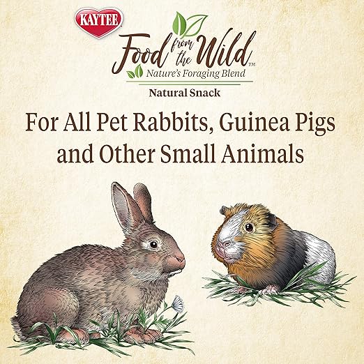 Kaytee Food From the Wild Natural Snack Mix for Small Pets Premium Dog & Cat Toys | WhatDaDog Pet Store