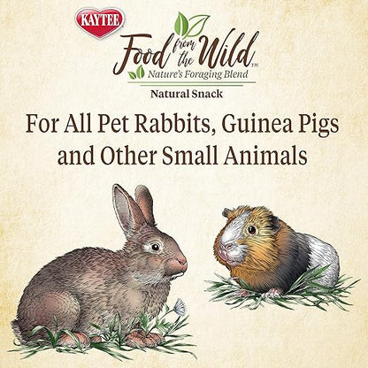 Kaytee Food From the Wild Natural Snack Mix for Small Pets Premium Dog & Cat Toys | WhatDaDog Pet Store