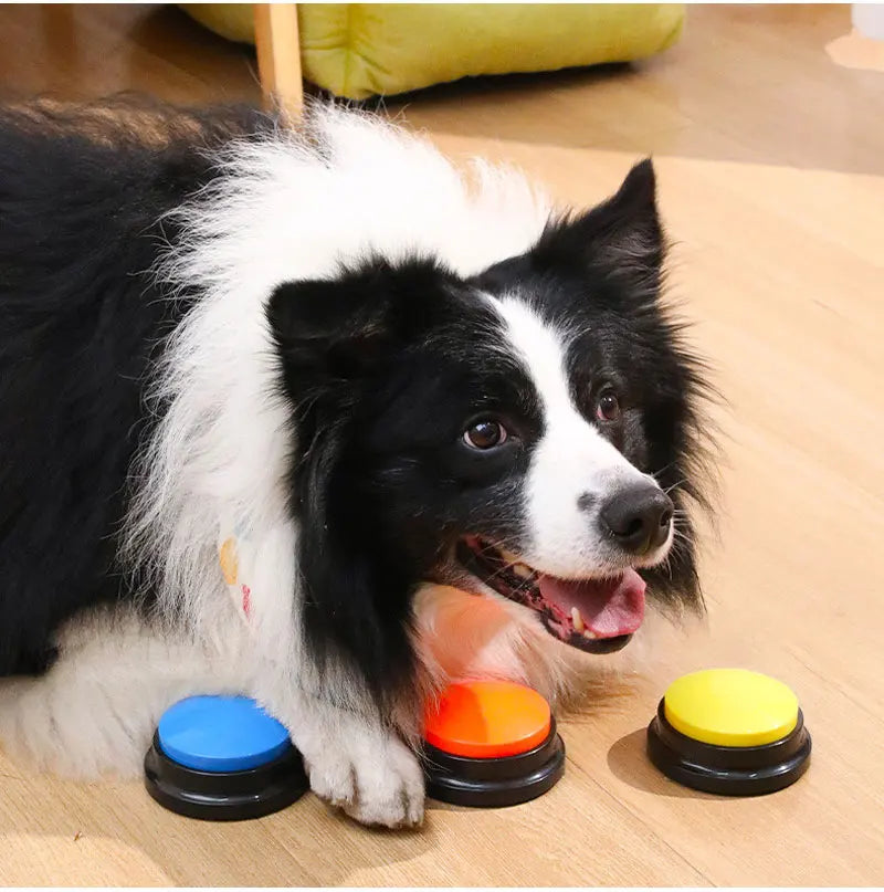 Interactive Dog Training Buttons - Voice Recording Communication Buzzers for Pet Training Premium Dog & Cat Toys | WhatDaDog Pet Store