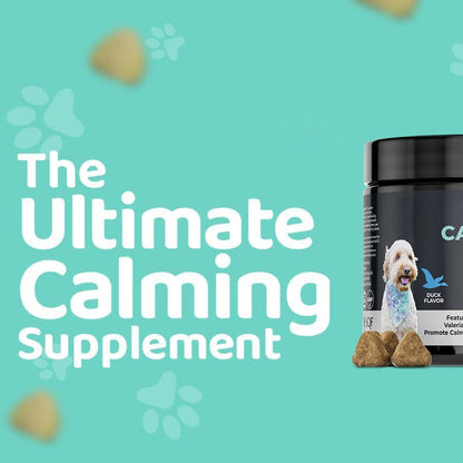 Calming Chews For Dogs Premium Dog & Cat Toys | WhatDaDog Pet Store