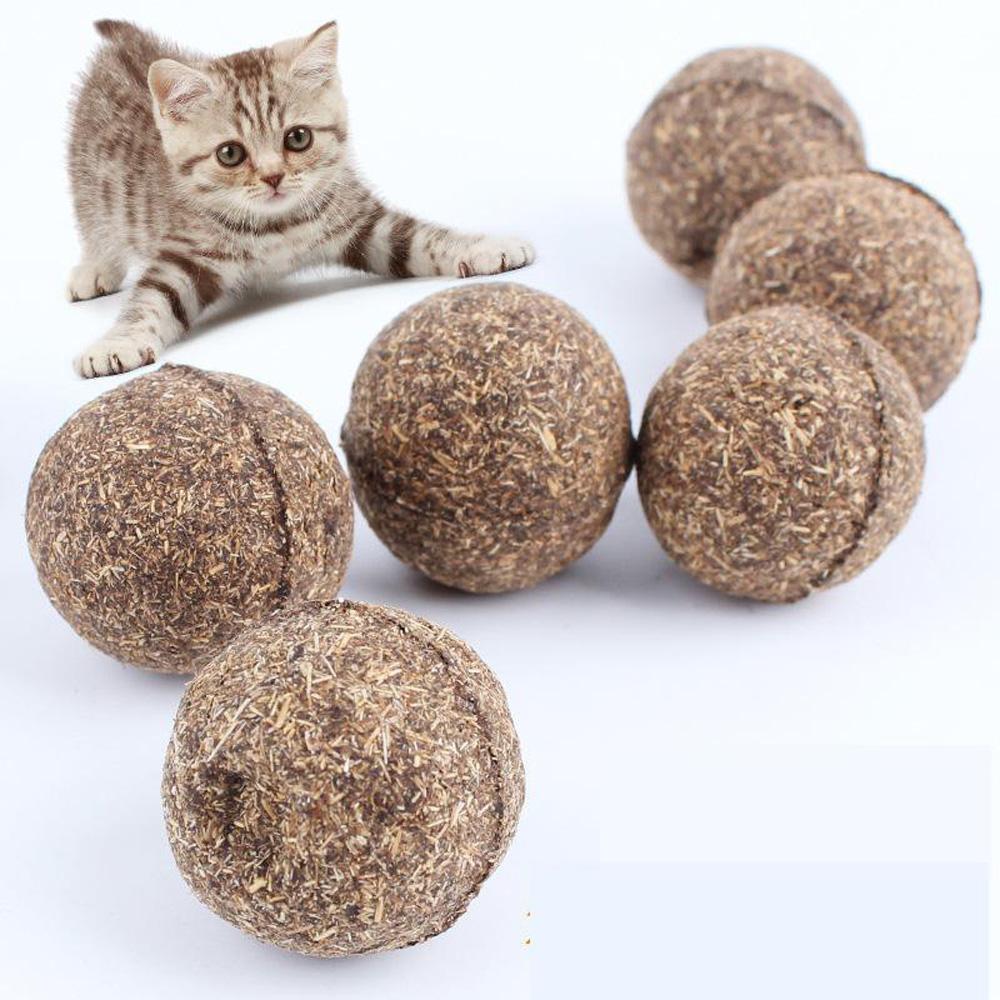 Rainbow Interactive Teething Balls for Small Dogs & Cats Premium Dog & Cat Toys | WhatDaDog Pet Store