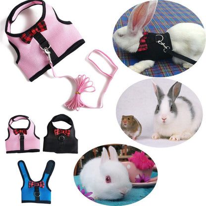 ComfortFit Small Pet Harness & Leash Set Premium Dog & Cat Toys | WhatDaDog Pet Store