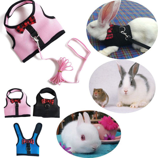 ComfortFit Small Pet Harness & Leash Set Premium Dog & Cat Toys | WhatDaDog Pet Store