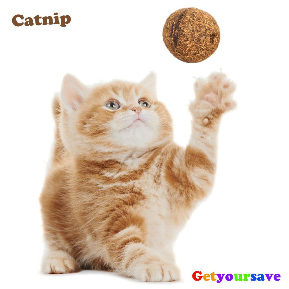 Rainbow Interactive Teething Balls for Small Dogs & Cats Premium Dog & Cat Toys | WhatDaDog Pet Store