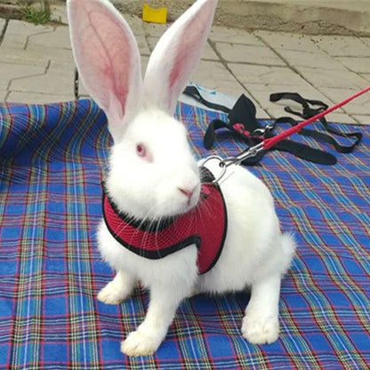 ComfortFit Small Pet Harness & Leash Set Premium Dog & Cat Toys | WhatDaDog Pet Store