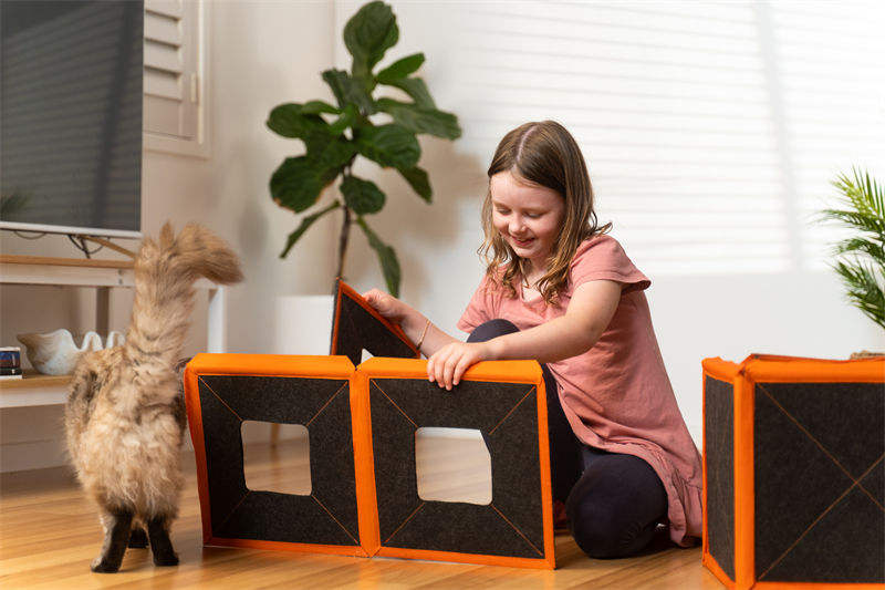 Foldable Cat House Condo - Multi-Level Cat Cube with Reversible Cushions WhatDaDog Premium Pet Store | Quality Dog & Cat Accessories