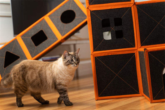 Foldable Cat House Condo - Multi-Level Cat Cube with Reversible Cushions WhatDaDog Premium Pet Store | Quality Dog & Cat Accessories