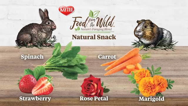 Kaytee Food From the Wild Natural Snack Mix for Small Pets Premium Dog & Cat Toys | WhatDaDog Pet Store